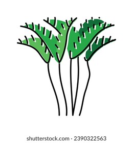 areca palm tree color icon vector. areca palm tree sign. isolated symbol illustration