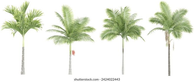 palmeras de Areca, palmeras de coco con fondo transparente, representación 3D, para ilustración, composición digital, visualización de la arquitectura