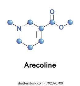 Arecoline is a nicotinic acid-based alkaloid found in the areca nut, the fruit of the areca palm.