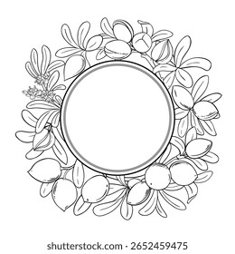 Argan Branch met moeren en bladeren Outline Round Frame. Vector geïsoleerd voor ontwerp of decoratie.