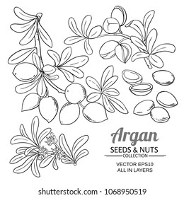 argan branches vector set