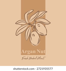 Argan-Etiketten mit handgezeichnetem Stil, Verpackungsdesign mit Frucht-Symbolen und Text, minimales und buntes Etikettendesign, Etikettenaufkleber für Verpackungen, bearbeitbare druckfertige Vektorvorlagen-Datei-Illustration herunterladen, Fruit and Nuts Food Label Templates Set. Abstrakte Vektorverpackung Design Layouts Kollektion, Umrisszeichnung Design
