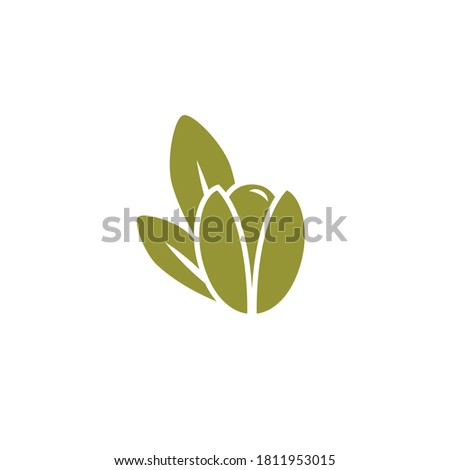 Argan nut green icon. beauty and cosmetics oil. Cosmetic ingredient carotene, carotin. Argania oil for skin care. Vector flat illustration isolated on white. 