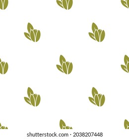 Argan nut green seamless pattern on white background. beauty and cosmetics oil. Cosmetic ingredient. Nutritional oil for skin care. Vector flat illustration. 