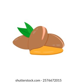 Argan Nuts Oil, Cosmetics Vector Illustration Isolated