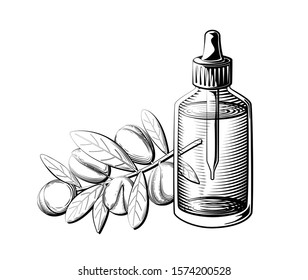 Argan oil bottle illustration. Essential oil glass bottle and argan branch in black and white.