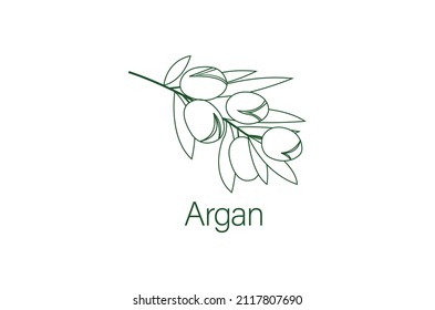 Argan oil branch line art vector illustration 