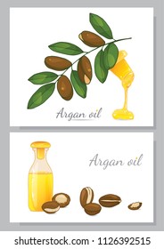 Argan oil and a branch of argan on a white background. Can be used for booklets, banners, brochures.
