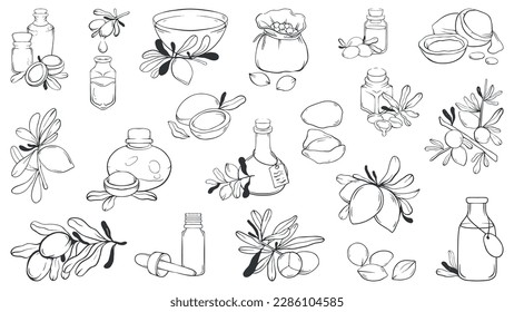 Argan, Argan Oil Theme Line Illustrations