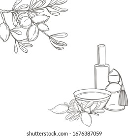 Argan oil.  Vector background. Sketch  illustration.