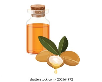 Argan oil ,vector image