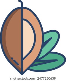 Argan slice linear color vector illustration