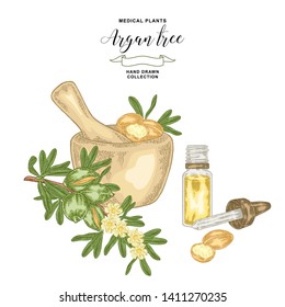 Argan tree, argania spinosa branch with wooden bowl and glass bottle of oil. Nuts and flowers. Medicinal plant. Vector illustration hand drawn.