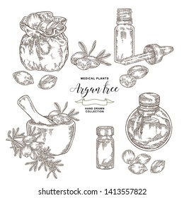 Argan tree, argania spinosa set. Nuts, leaves, wooden bowl, glass bottle of oil and rustic bag. Medical and cosmetic plants. Vector illustration engraved.