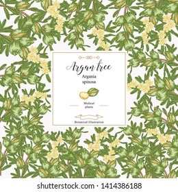 Argan tree, argania spinosa square background. Colorful nuts, leaves and flowers. Medical and cosmetic plants. Vector illustration botanical.