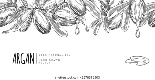 Argan tree branch with leaves and nuts engraved sketch seamless border vector design, top frame ink style. Natural dripping oil fruits. Hand drawn organic essential cosmetic and medical plant