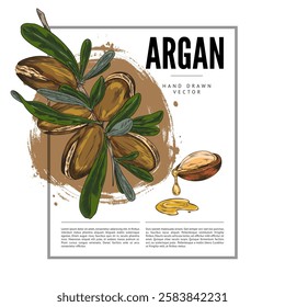 Argan tree branch with leaves and nuts sketch vector label design. Hand drawn cosmetic and medical plant. Natural essential dripping oil fruits. Organic farm food plant on brown watercolor stain