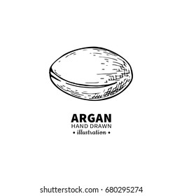 Argan vector drawing. Isolated vintage  illustration of nut. Organic essential oil engraved style sketch. Beauty and spa, cosmetic ingredient. Great for label, poster, flyer, packaging design.
