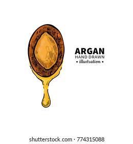Argan vector drawing.  Organic essential oil sketch. Isolated   illustration of nut. Beauty and spa, cosmetic ingredient. Great for label, poster, flyer, packaging design.