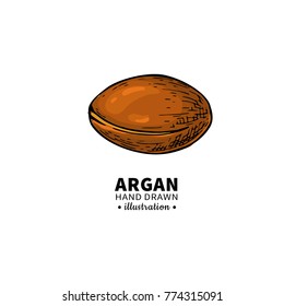Argan vector drawing.  Organic essential oil sketch. Isolated   illustration of nut. Beauty and spa, cosmetic ingredient. Great for label, poster, flyer, packaging design.
