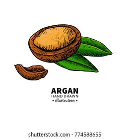 Argan vector drawing.  Organic essential oil sketch. Isolated   illustration of nut. Beauty and spa, cosmetic ingredient. Great for label, poster, flyer, packaging design.
