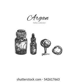 Argan. Vector hand drawn collection. 