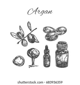 Argan. Vector hand drawn collection. Set of argan branches, leaves, nuts. For packing oil creams.