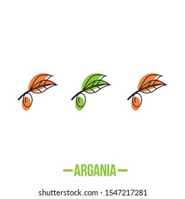 Argania oil tree icon vector