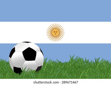 argentina flag with soccer ball on the yard,eps10