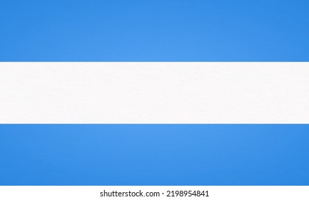 Argentina flag vector illustration with accurate color code and paper textured