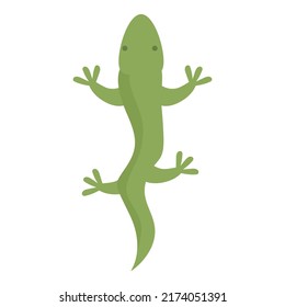 Argentina salamander icon cartoon vector. America travel. Argentinian latin