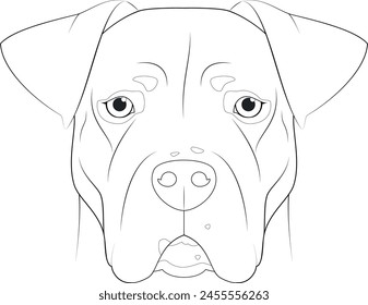 Argentinian Dogo dog easy coloring cartoon vector illustration. Isolated on white background