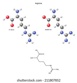 Arginine (Arg) - chemical structural formula and models, amino acid, in vacuo, zwitterion, 2d and 3d illustration, balls and sticks, isolated on white background, vector, eps8