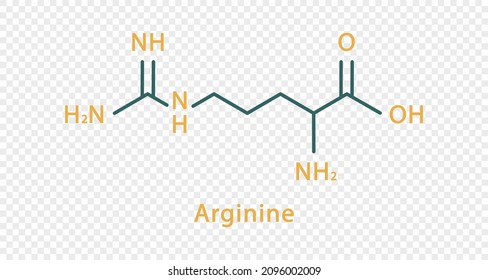 Arginine chemical formula. Arginine structural chemical formula isolated on transparent background.