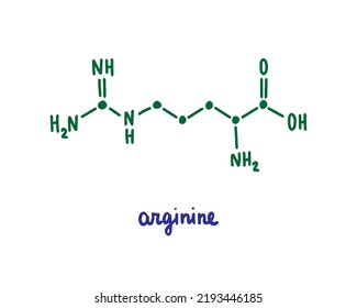 Arginine hand drawn vector formula chemical structure lettering blue green amino acid