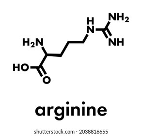 Arginine (L-arginine, Arg, R) amino acid molecule. Skeletal formula.