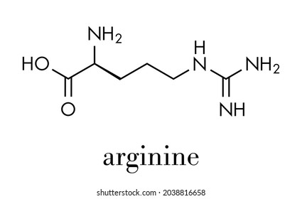 Arginine (L-arginine, Arg, R) amino acid molecule. Skeletal formula.