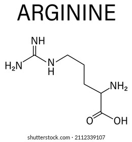 Arginine or L-arginine, Arg, R, amino acid molecule. Skeletal formula.