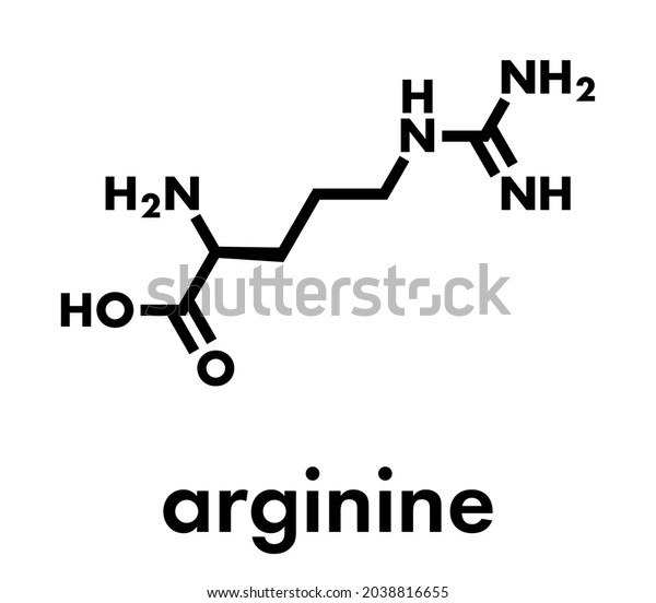 Arginine Larginine Arg R Amino Acid Stock Vector Royalty Free 2038816655 9221