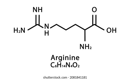 Arginine molecular structure. L-arginine skeletal chemical formula. Chemical molecular formula vector illustration