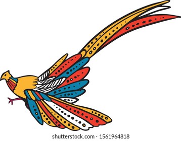 Argus giganteus or Great pheasant  with colorful color illustration hand draw in vector.