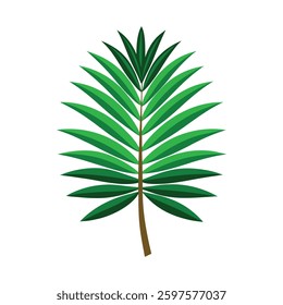 arica plam leaf vector icon on white background