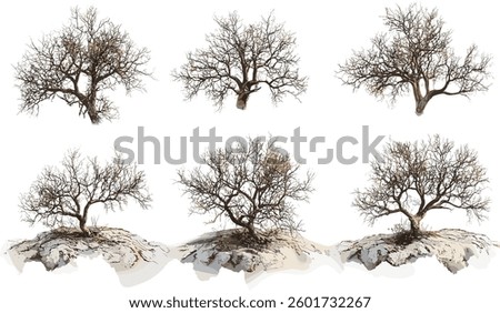 Arid landscape vector dry trees aerial view, barren trees, nature background, transparent design, wilderness scenery, desert environment, tree illustrations, environmental art.