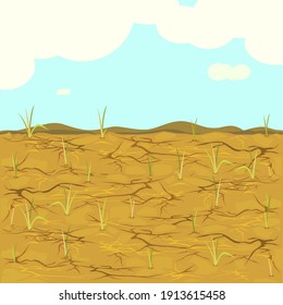 Arid - vector of dried fields rice.