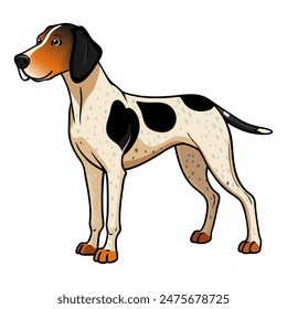 Ariege Hound dog vector illustration isolated on white background in cartoon style.