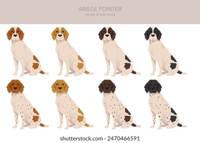 Ariege pointer clipart. Different poses, coat colors set. vector illustration