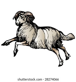aries color