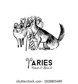 Aries Funny dogs zodiac signs. Vector sketch illustration.