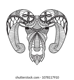 Aries head hand drawing zentangle  style background.
