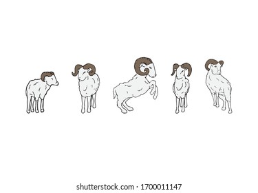 Aries simple domestic animal, hand drawn illustration set with different positions. Simple male sheep, original drawing decoration. Battering ram cartoon sketch. Zodiac horoscope symbol. 